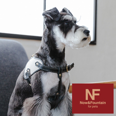 みなとみらいPRセンターのプレスリリース画像9