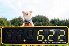 みなとみらいPRセンターのプレスリリース画像5