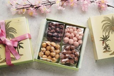 みなとみらいPRセンターのプレスリリース画像2