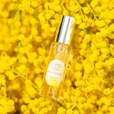 みなとみらいPRセンターのプレスリリース画像1