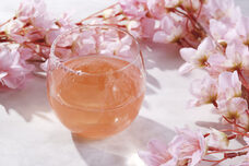 みなとみらいPRセンターのプレスリリース画像2