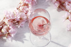 みなとみらいPRセンターのプレスリリース画像1