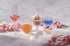 みなとみらいPRセンターのプレスリリース画像5