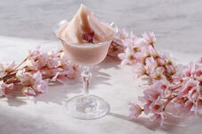 みなとみらいPRセンターのプレスリリース画像4