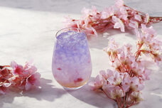 みなとみらいPRセンターのプレスリリース画像3