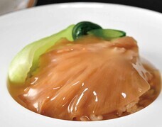 みなとみらいPRセンターのプレスリリース画像11