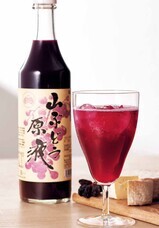 みなとみらいPRセンターのプレスリリース画像15