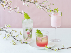 みなとみらいPRセンターのプレスリリース画像5