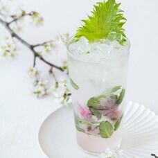 みなとみらいPRセンターのプレスリリース画像1