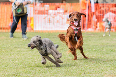 みなとみらいPRセンターのプレスリリース画像2