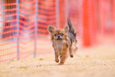 みなとみらいPRセンターのプレスリリース画像3