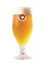 みなとみらいPRセンターのプレスリリース画像10