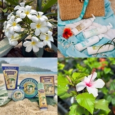 みなとみらいPRセンターのプレスリリース画像6