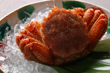 みなとみらいPRセンターのプレスリリース画像1