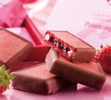 みなとみらいPRセンターのプレスリリース画像17