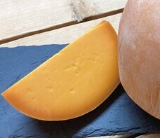 みなとみらいPRセンターのプレスリリース画像10