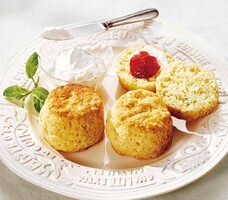 みなとみらいPRセンターのプレスリリース画像9