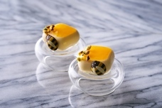 みなとみらいPRセンターのプレスリリース画像7