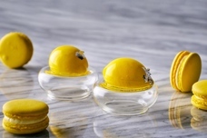 みなとみらいPRセンターのプレスリリース画像6