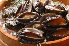 みなとみらいPRセンターのプレスリリース画像1