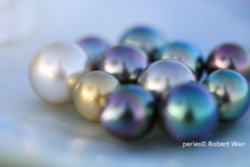 みなとみらいPRセンターのプレスリリース画像11