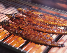 みなとみらいPRセンターのプレスリリース画像4