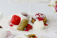 みなとみらいPRセンターのプレスリリース画像2