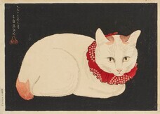 みなとみらいPRセンターのプレスリリース画像3