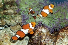 みなとみらいPRセンターのプレスリリース画像5