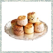 みなとみらいPRセンターのプレスリリース画像2