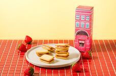 みなとみらいPRセンターのプレスリリース画像13