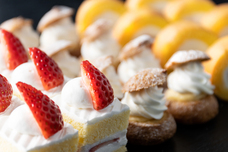 みなとみらいPRセンターのプレスリリース画像9