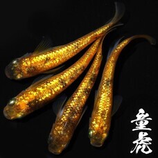 みなとみらいPRセンターのプレスリリース画像7