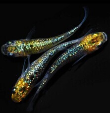 みなとみらいPRセンターのプレスリリース画像6