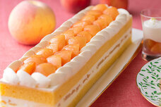 みなとみらいPRセンターのプレスリリース画像5