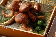 みなとみらいPRセンターのプレスリリース画像1