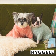 みなとみらいPRセンターのプレスリリース画像8