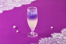 みなとみらいPRセンターのプレスリリース画像8