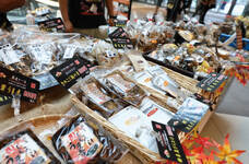 みなとみらいPRセンターのプレスリリース画像5