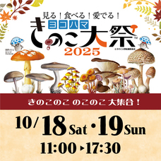 みなとみらいPRセンターのプレスリリース画像12