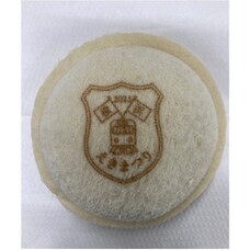 みなとみらいPRセンターのプレスリリース画像5