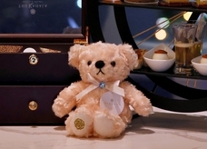 みなとみらいPRセンターのプレスリリース画像1