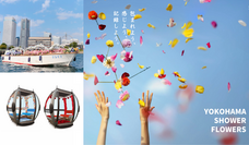 みなとみらいPRセンターのプレスリリース画像8