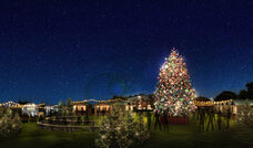 みなとみらいPRセンターのプレスリリース画像13