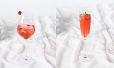 みなとみらいPRセンターのプレスリリース画像8