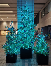 みなとみらいPRセンターのプレスリリース画像6