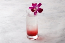 みなとみらいPRセンターのプレスリリース画像3