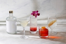 みなとみらいPRセンターのプレスリリース画像7