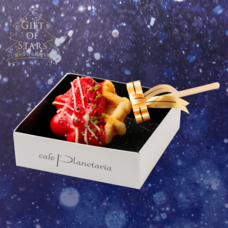 みなとみらいPRセンターのプレスリリース画像11