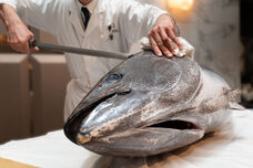 みなとみらいPRセンターのプレスリリース画像1